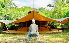 Awake Uvita